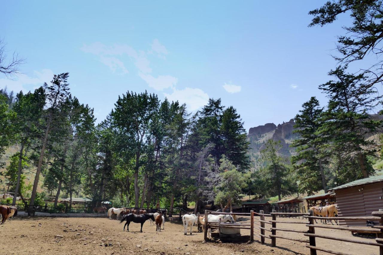 Bill Cody Ranch酒店 外观 照片